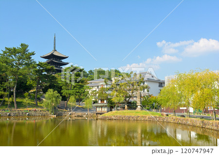 奈良・興福寺 120747947