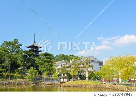奈良・興福寺 120747948