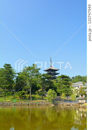 奈良・興福寺 奈良・興福寺 120747949