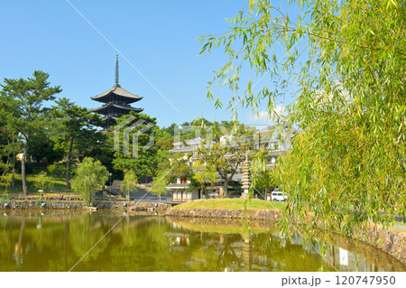 奈良・興福寺 120747950