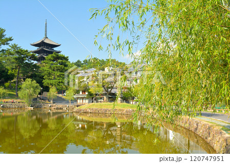 奈良・興福寺 奈良・興福寺 120747951