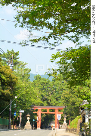 世界遺産・奈良公園 世界遺産・奈良公園 120747969