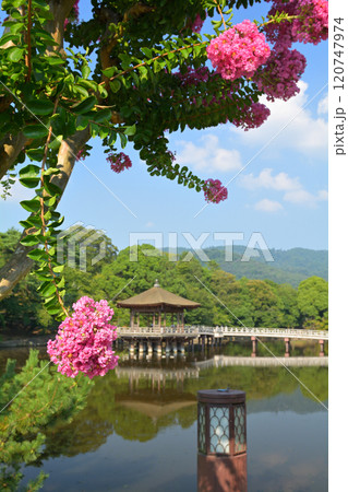 世界遺産・奈良公園 世界遺産・奈良公園 120747974