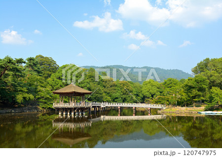 世界遺産・奈良公園 世界遺産・奈良公園 120747975