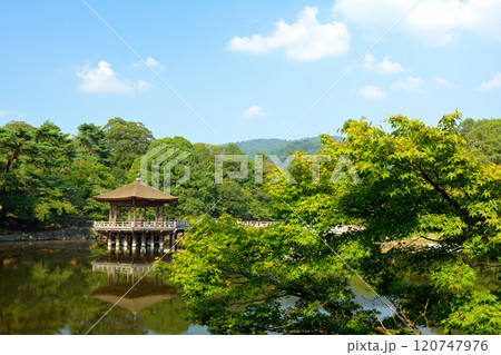 世界遺産・奈良公園 120747976