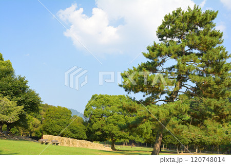 世界遺産・奈良公園 120748014