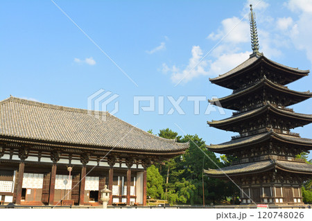 奈良・興福寺 120748026