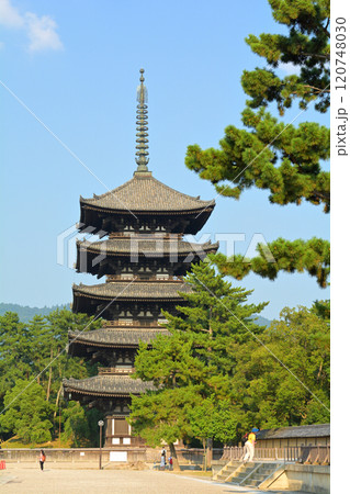 奈良・興福寺 120748030