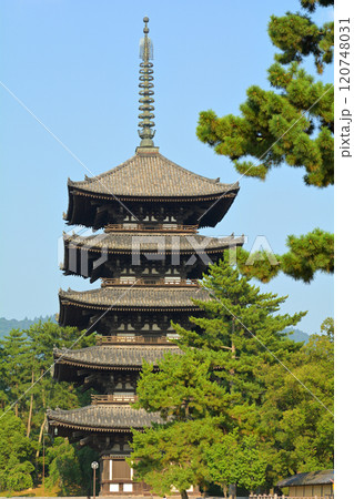 奈良・興福寺 120748031