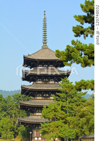 奈良・興福寺 120748032