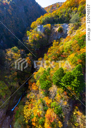 福島県福島市　高湯温泉と土湯峠を結ぶ磐梯吾妻スカイライン　滝が流れる不動沢（つばくろ谷）の紅葉 120748037