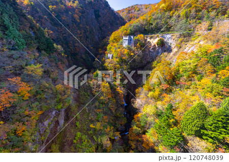福島県福島市　高湯温泉と土湯峠を結ぶ磐梯吾妻スカイライン　滝が流れる不動沢（つばくろ谷）の紅葉 120748039