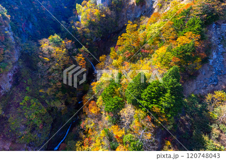福島県福島市　高湯温泉と土湯峠を結ぶ磐梯吾妻スカイライン　滝が流れる不動沢（つばくろ谷）の紅葉 120748043