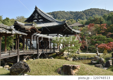 秋の高台寺 開山堂と観月台と偃月池(京都市東山区) 秋の高台寺 開山堂と観月台と偃月池(京都市東山区) 120748513