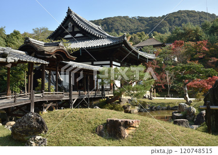 秋の高台寺 開山堂と観月台と偃月池(京都市東山区) 秋の高台寺 開山堂と観月台と偃月池(京都市東山区) 120748515