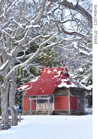 冬の北海道森町で宿野辺神社境内の雪景色を撮影 冬の北海道森町で宿野辺神社境内の雪景色を撮影 120748648