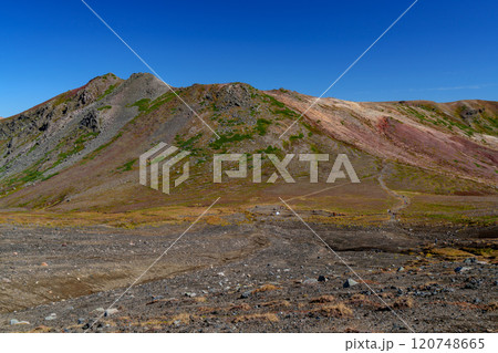 大雪山登山 旭岳から裾合平1周コース　紅葉の日本百名山　北海道の絶景 120748665