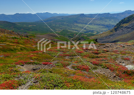 大雪山登山 旭岳から裾合平1周コース　紅葉の日本百名山　北海道の絶景 120748675
