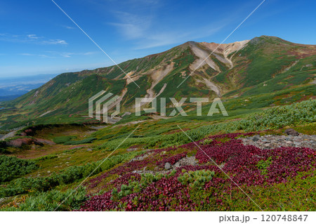 大雪山登山愛別岳 旭岳から裾合平1周コース　紅葉の日本百名山　北海道の絶景 120748847