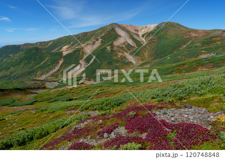 大雪山登山愛別岳 旭岳から裾合平1周コース 紅葉の日本百名山 北海道の絶景 大雪山登山愛別岳 旭岳から裾合平1周コース 紅葉の日本百名山 北海道の絶景 120748848