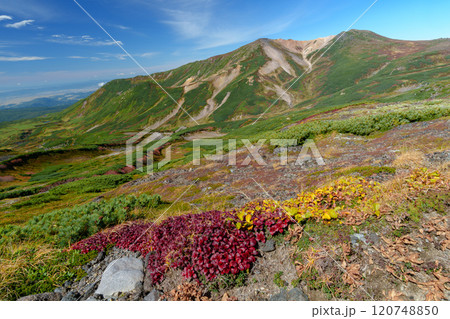 大雪山登山愛別岳 旭岳から裾合平1周コース　紅葉の日本百名山　北海道の絶景 120748850