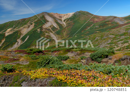 大雪山登山愛別岳 旭岳から裾合平1周コース　紅葉の日本百名山　北海道の絶景 120748851