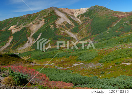 大雪山登山愛別岳 旭岳から裾合平1周コース　紅葉の日本百名山　北海道の絶景 120748856