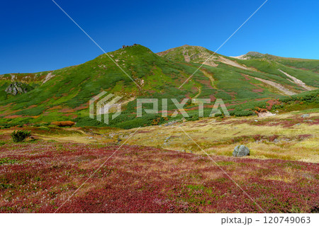 大雪山旭岳登山 裾合平のチングルマ 紅葉の日本百名山 北海道の絶景 大雪山旭岳登山 裾合平のチングルマ 紅葉の日本百名山 北海道の絶景 120749063
