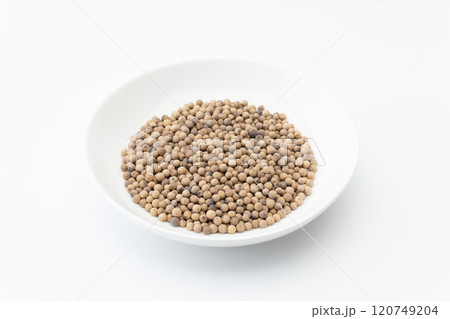 お皿に入ったホワイトペッパーのホール 120749204