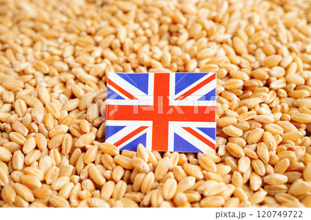 United Kingdom flag on grain wheat, trade export and economy concept. 120749722