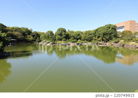 東京 清澄庭園 大泉水(池) 東京 清澄庭園 大泉水(池) 120749915