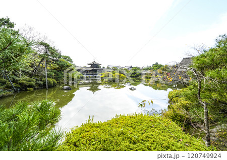 平安神宮(11月) 東神苑 平安神宮(11月) 東神苑 120749924
