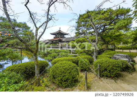 平安神宮(11月)　東神苑「泰平閣」 120749926