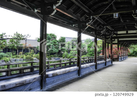 平安神宮(11月)　東神苑「泰平閣」 120749929