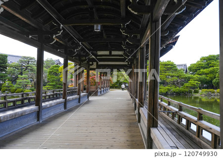 平安神宮(11月)　東神苑「泰平閣」 120749930