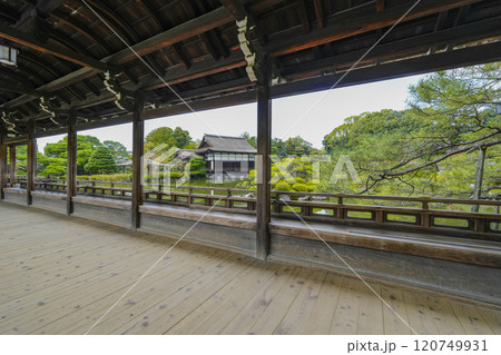 平安神宮(11月)　東神苑「泰平閣」 120749931