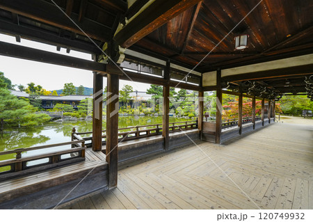平安神宮(11月) 東神苑「泰平閣」 平安神宮(11月) 東神苑「泰平閣」 120749932