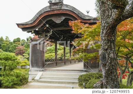 平安神宮(11月)　東神苑「泰平閣」 120749955