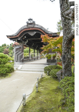 平安神宮(11月)　東神苑「泰平閣」 120749957