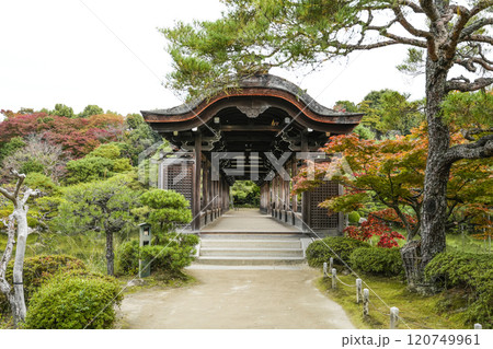 平安神宮(11月) 東神苑「泰平閣」 平安神宮(11月) 東神苑「泰平閣」 120749961