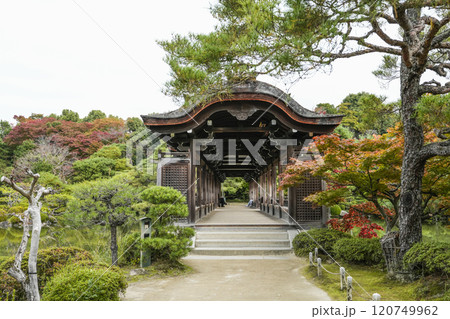 平安神宮(11月)　東神苑「泰平閣」 120749962