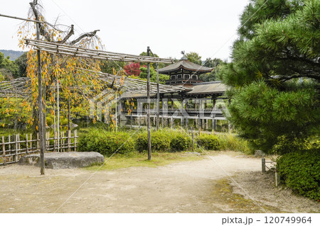 平安神宮(11月)　東神苑 120749964