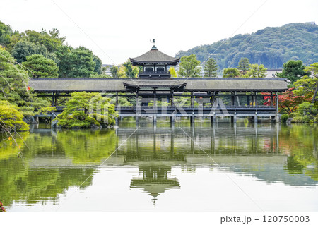 平安神宮(11月) 東神苑「泰平閣」 平安神宮(11月) 東神苑「泰平閣」 120750003