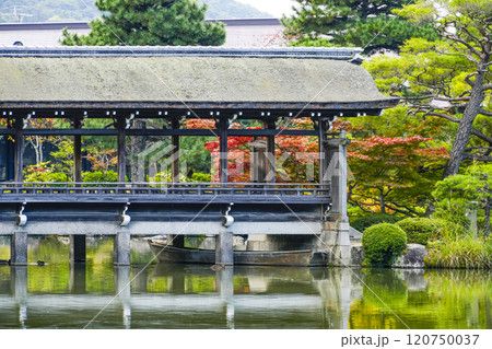 平安神宮(11月) 東神苑「泰平閣」 平安神宮(11月) 東神苑「泰平閣」 120750037