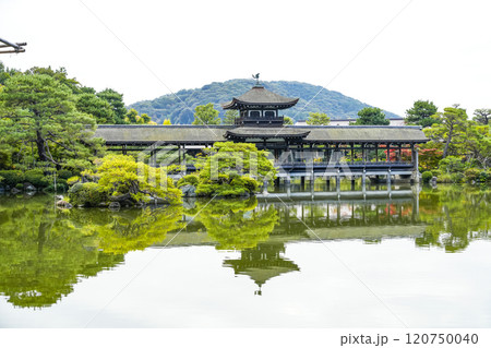 平安神宮(11月) 東神苑「泰平閣」 平安神宮(11月) 東神苑「泰平閣」 120750040