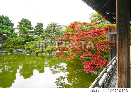 平安神宮(11月) 東神苑「泰平閣」 平安神宮(11月) 東神苑「泰平閣」 120750198