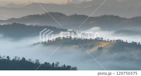 A misty mountain landscape with soft, rolling hills. 120750375