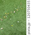 花弁 120750435
