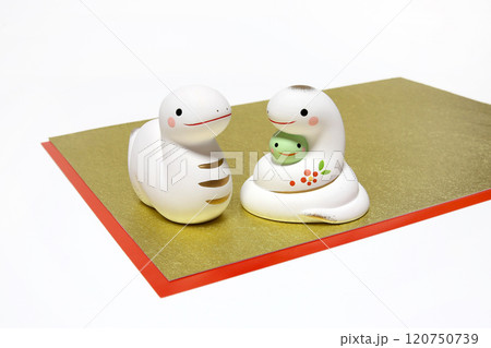 へび　巳年　年賀素材　家族　夫婦　ファミリー　 120750739