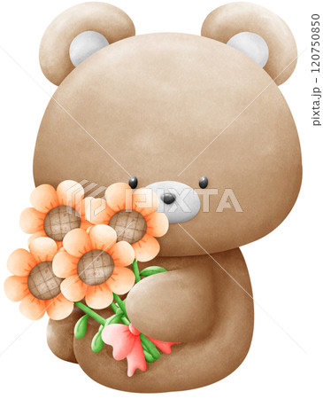 Brown bear holding a bouquet of sunflowers Brown bear holding a bouquet of sunflowers 120750850